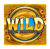 Wild Symbol